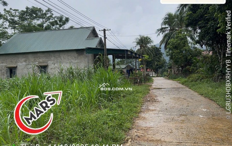 NGÂN HÀNG PHÁT MẠI 1315M ĐẤT TẠI THÔN TRÉ, XÃ BÁ THƯỚC, TỈNH THANH HÓA.